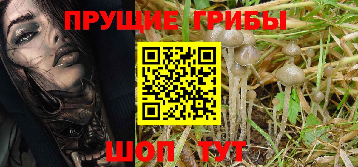 Нефтекамск  Псилоцибиновые грибы MAGIC MUSHROOMS  даркнет сайт  Вход с VPN 